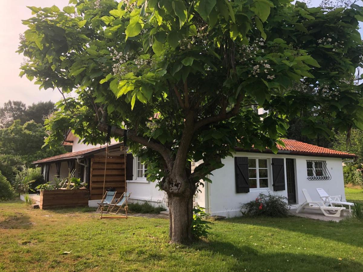 Villa Orcas ลียง ภายนอก รูปภาพ